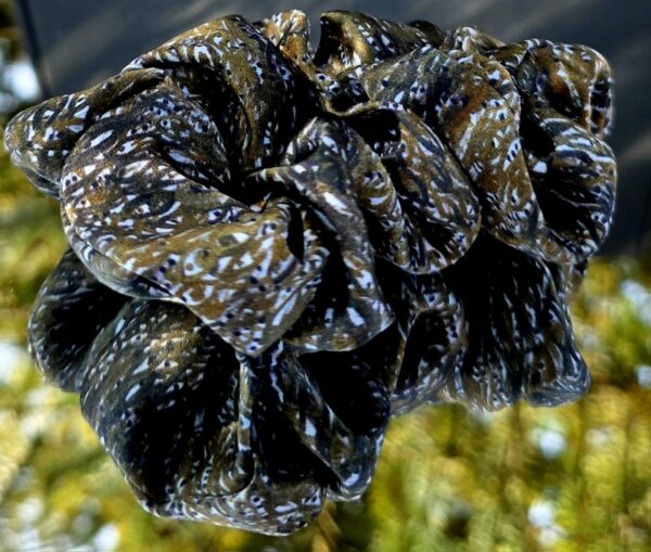 Flow - Silk Hair Scrunchie Small 3.5cm - Image 3